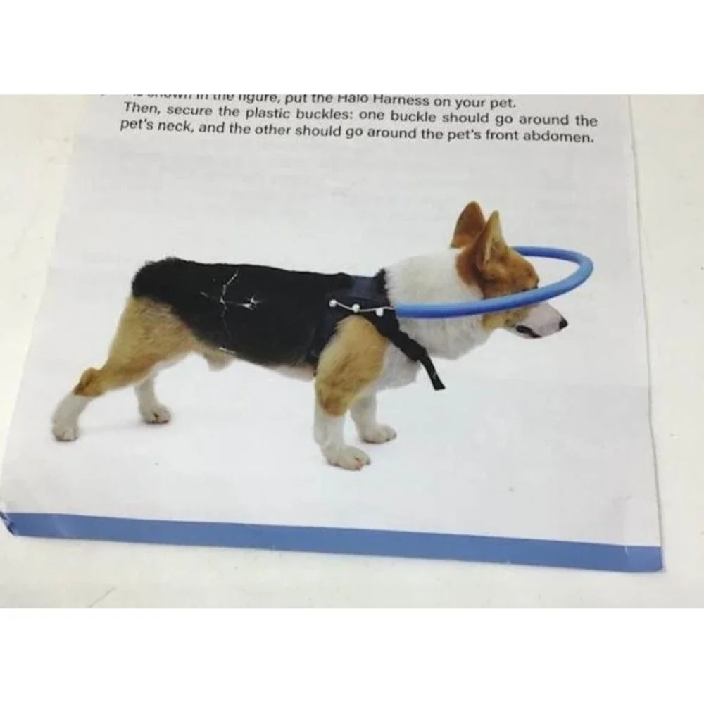 Let Pet Run blind vision